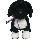 BoBeabieBaby Bo Beanie Baby by Ty